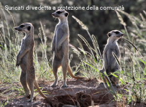 Referendum: la lezione delle urne